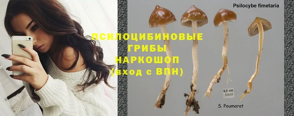 2c-b Баксан